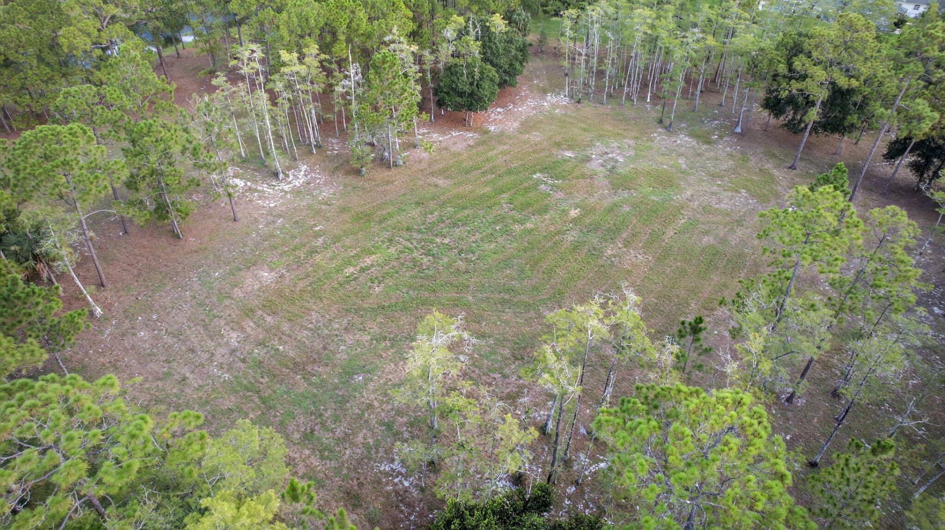 2795 Doe Trail, Loxahatchee, FL 33470 Photo