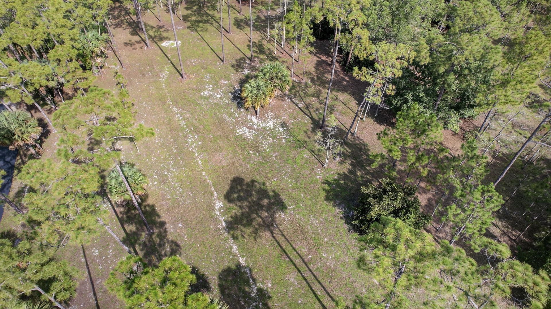 2795 Doe Trail, Loxahatchee, FL 33470 Photo