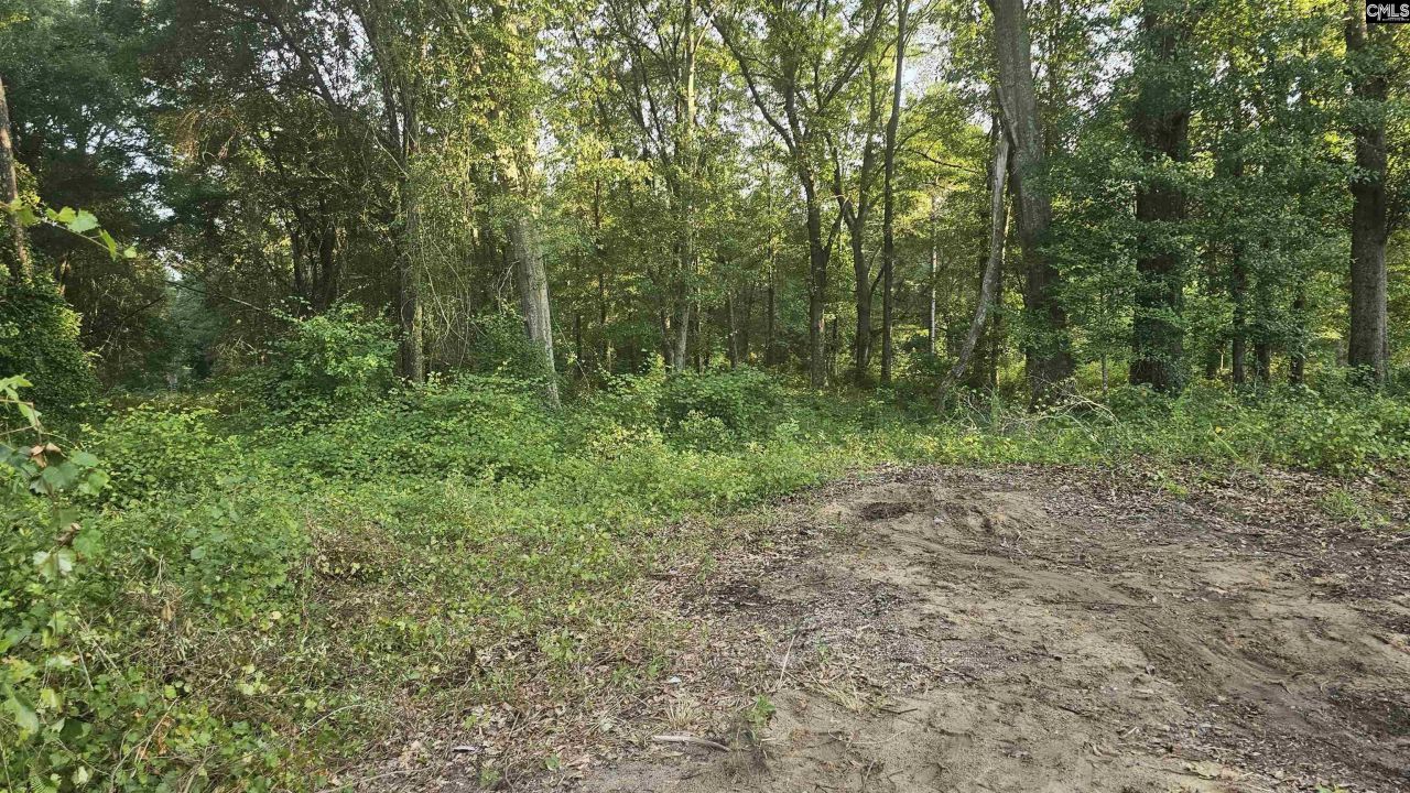 3064 Highway 1 N Photo 11