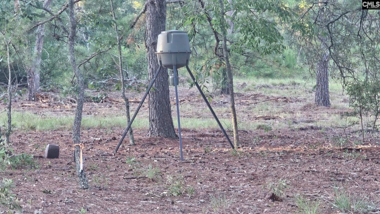 3064 Highway 1 N Photo 14