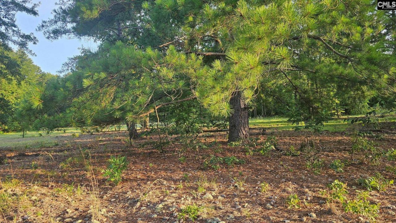 3064 Highway 1 N Photo 16