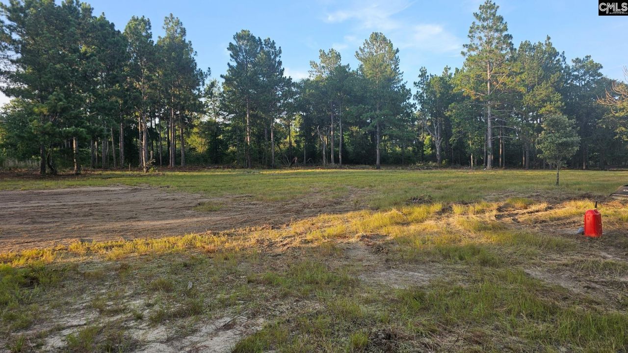 3064 Highway 1 N Photo 17