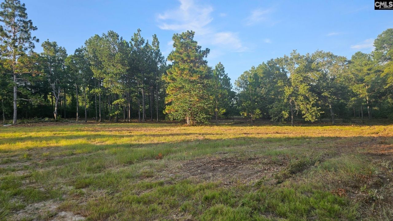 3064 Highway 1 N Photo 18