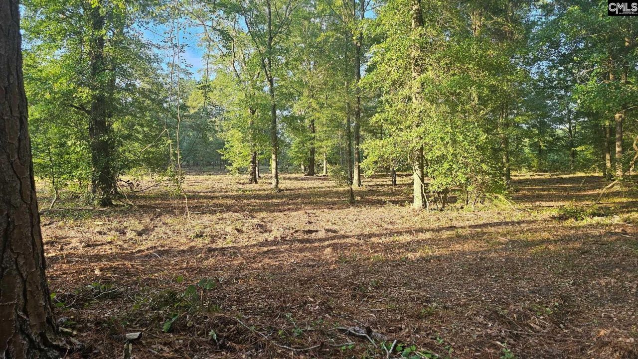 3064 Highway 1 N Photo 19