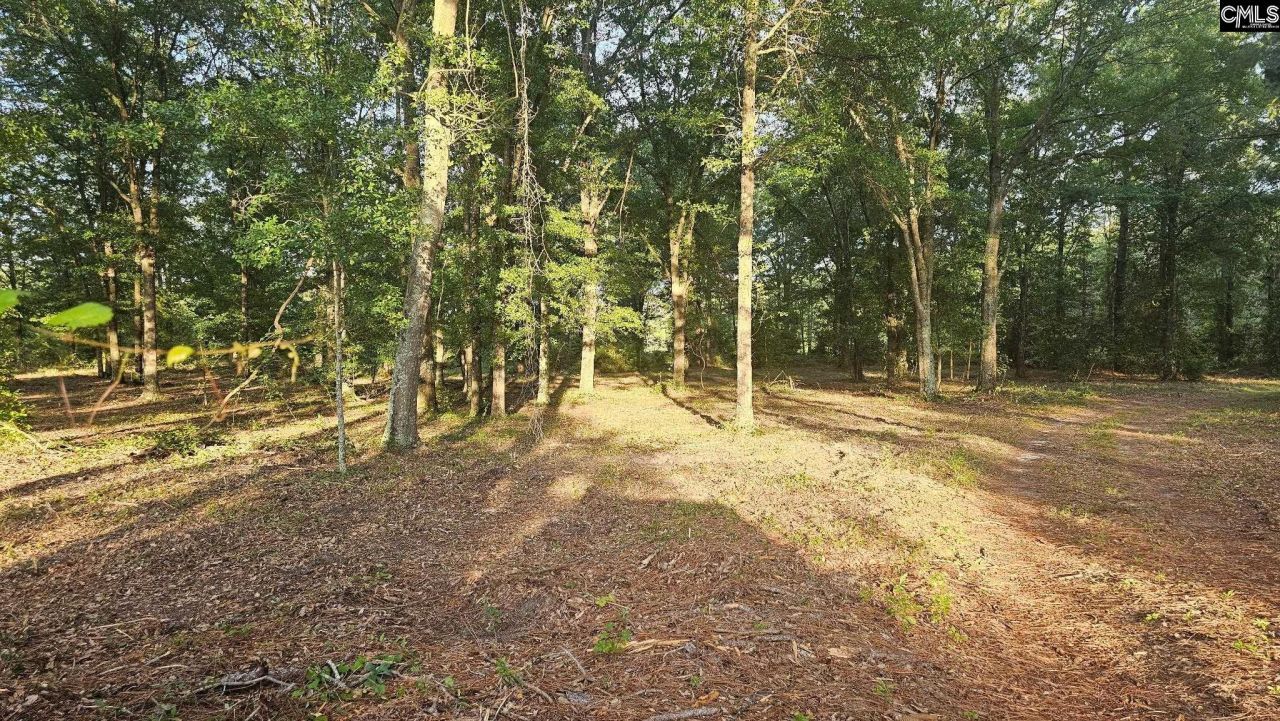 3064 Highway 1 N Photo 20