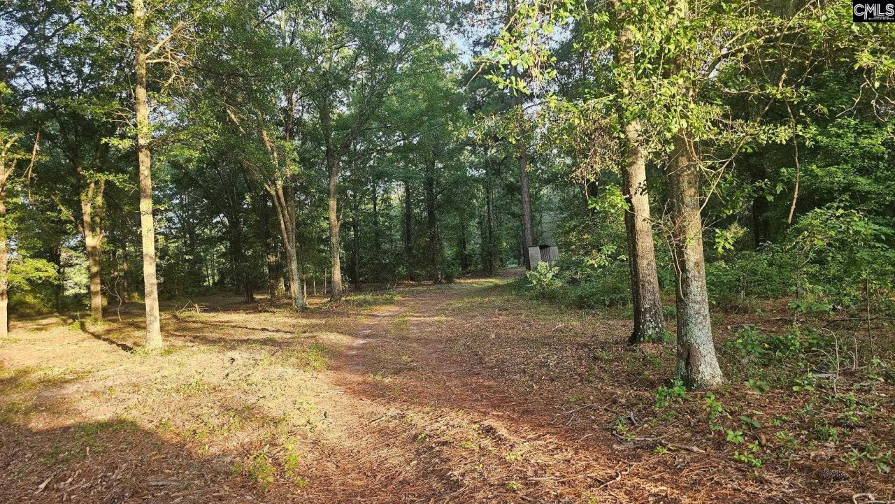 3064 Highway 1 N Photo 22