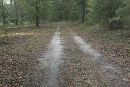 3064 Highway 1 N photo 4