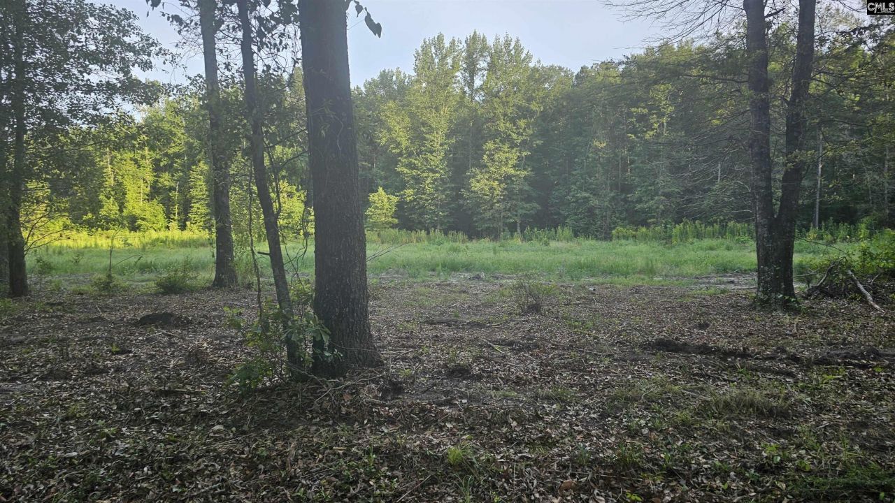 3064 Highway 1 N Photo 4