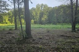 3064 Highway 1 N photo 4