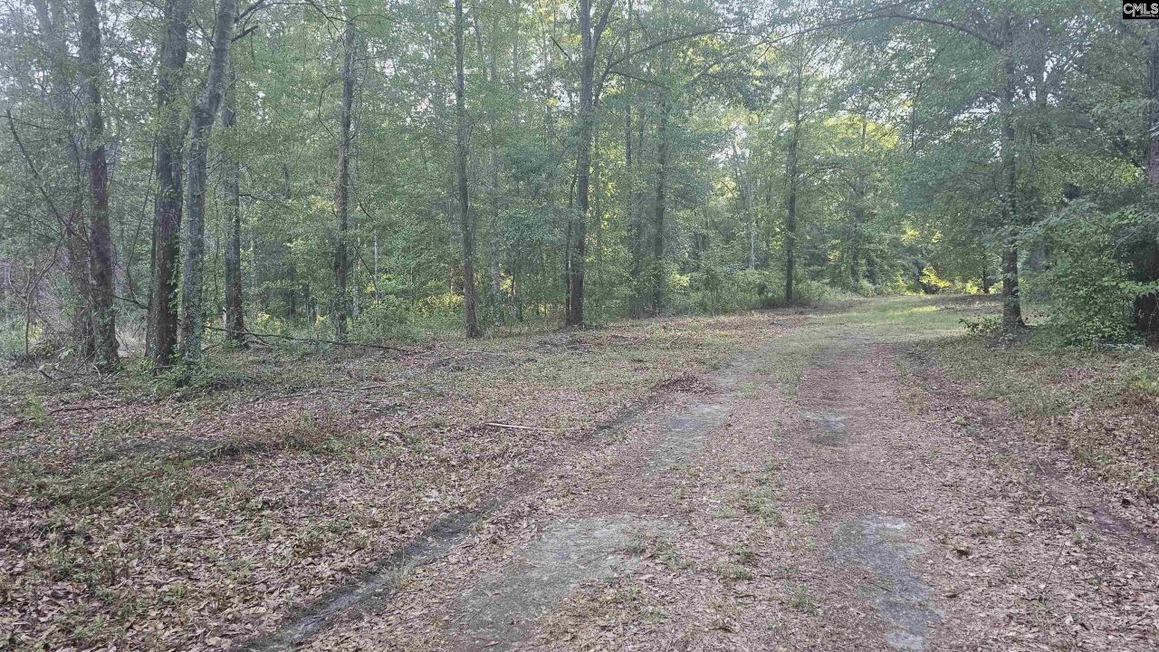 3064 Highway 1 N Photo 5