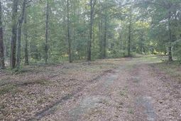 3064 Highway 1 N photo 4