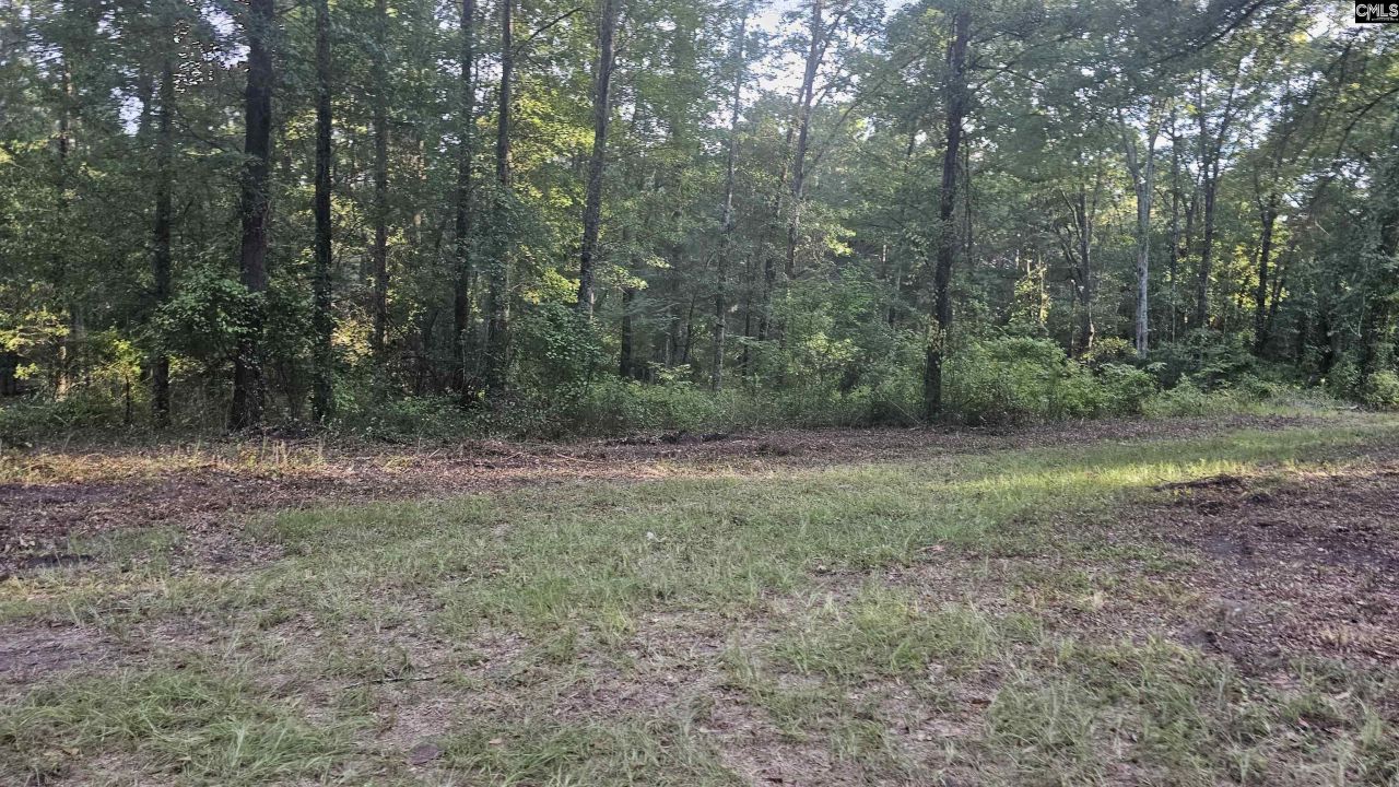 3064 Highway 1 N Photo 6