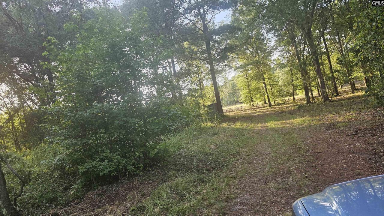 3064 Highway 1 N Photo 7