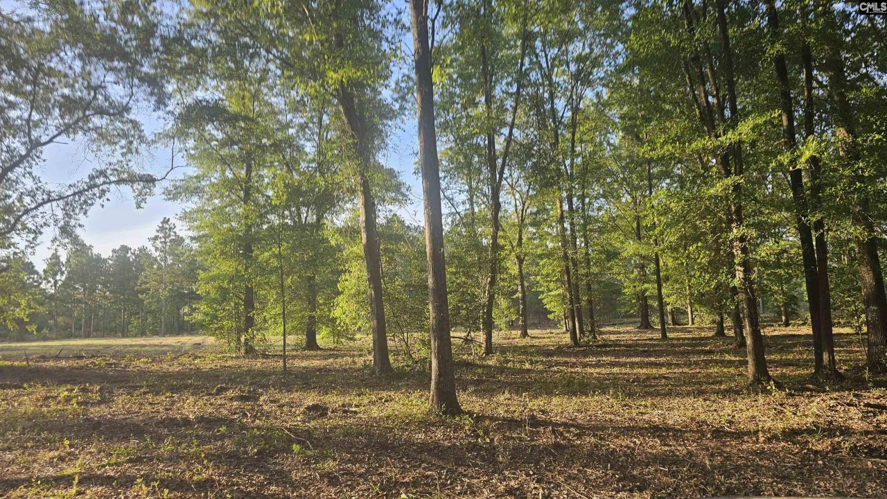 3064 Highway 1 N Photo 8