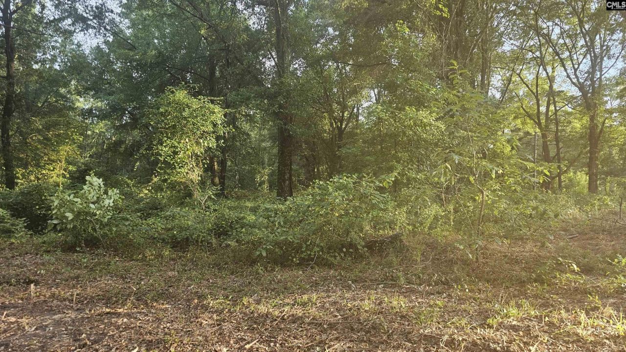 3064 Highway 1 N Photo 9