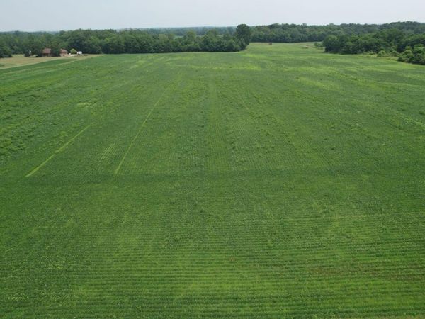 . County Road 49, Belle Center, OH 43310