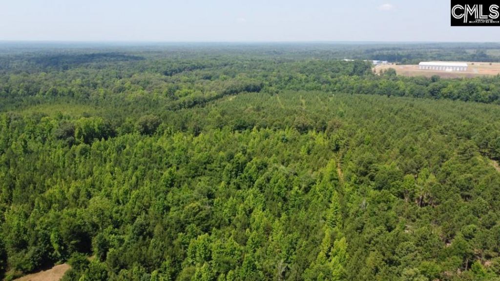 4129 Peach Road E Photo 29