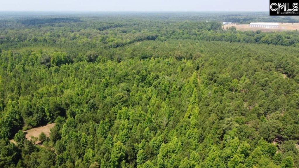 4129 Peach Road E Photo 31