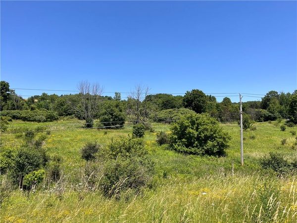 0 Yocum Road, Wayland, NY 14572