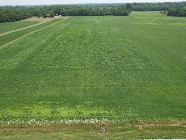 . County Road 49, Belle Center, OH 43310