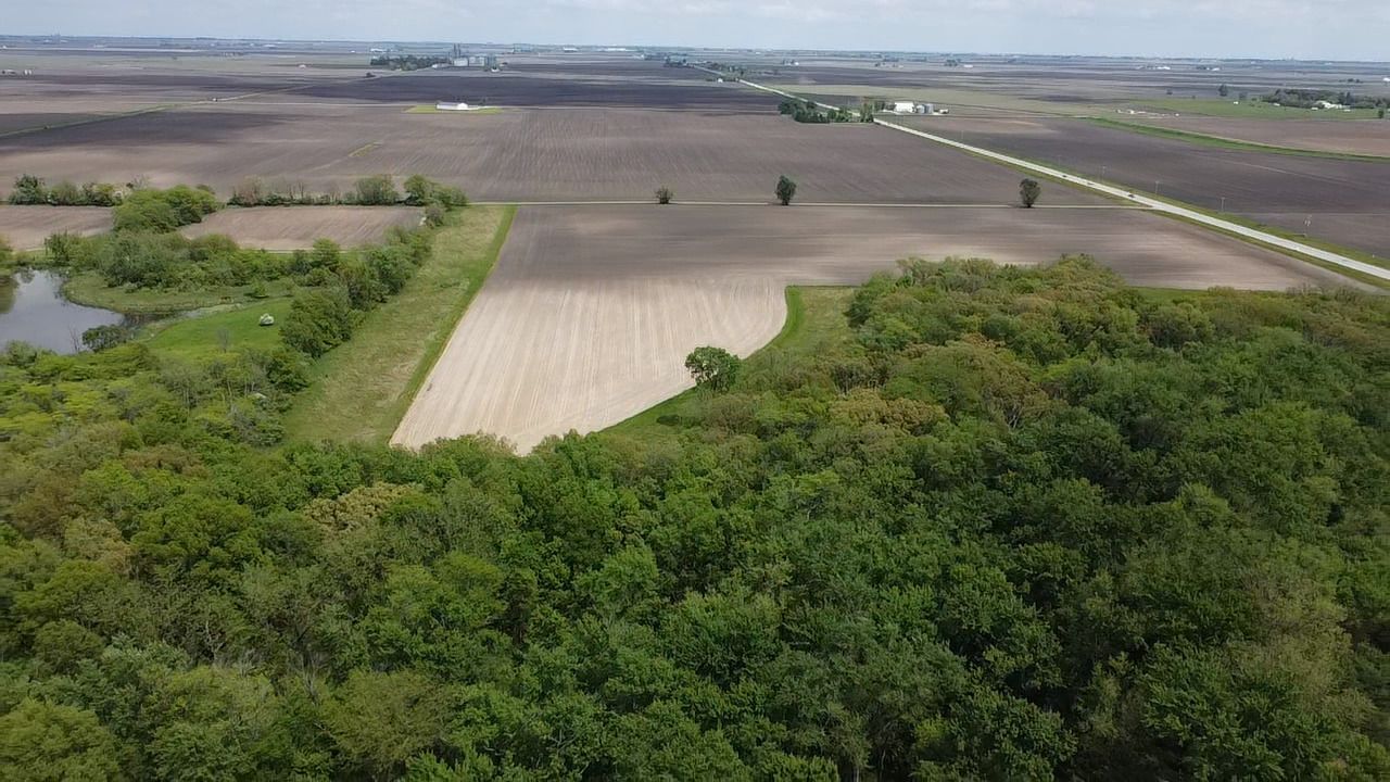 Lot C Highway 136 Highway, Fisher, IL 61843 Main Photo