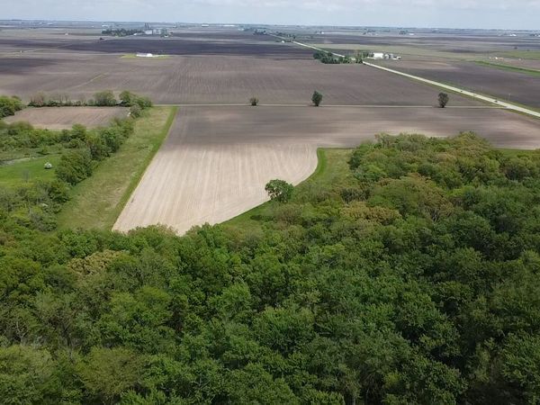 Lot C Highway 136 Highway, Fisher, IL 61843