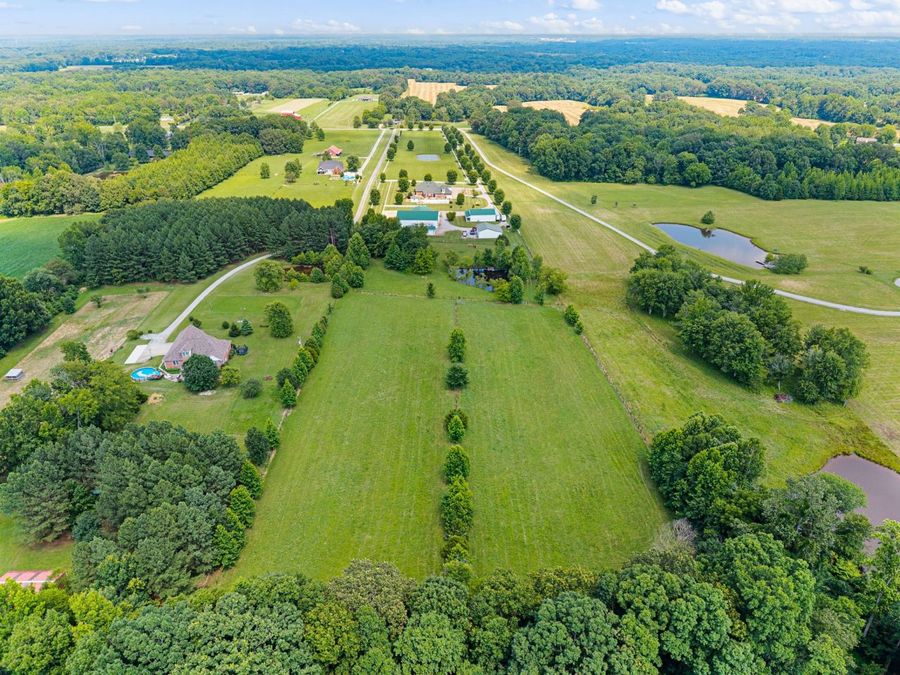 Property Image 60