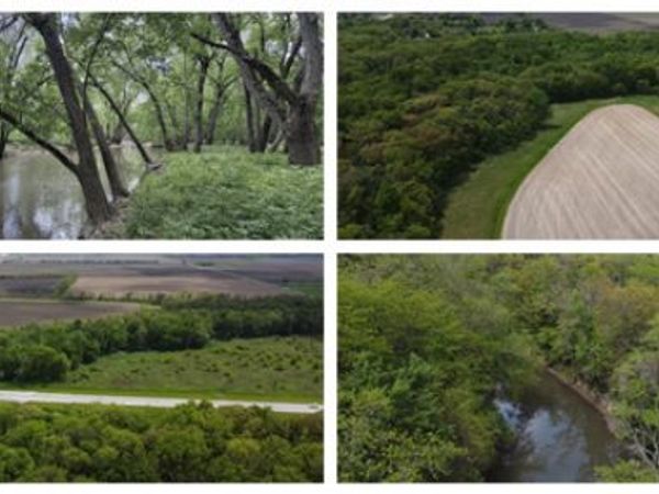 Lot D Highway 136 Highway, Fisher, IL 61843