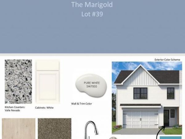 8704 Chapman Trace Way, Knoxville, TN 37920