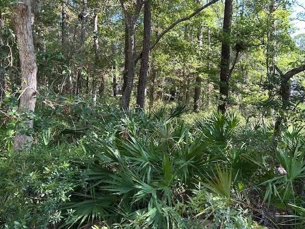 712 Indian Place, Dauphin Island, AL 36528