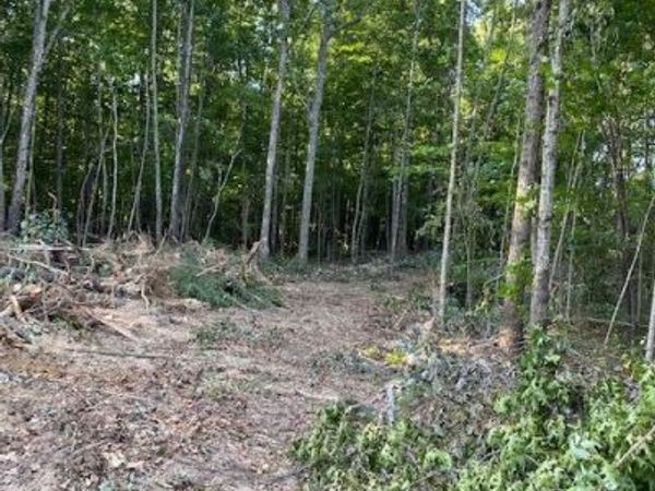 na Veterans Lookout, Wilder, TN 38589