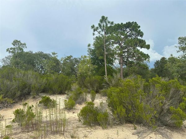 NE 85TH ST, BRONSON, FL 32621