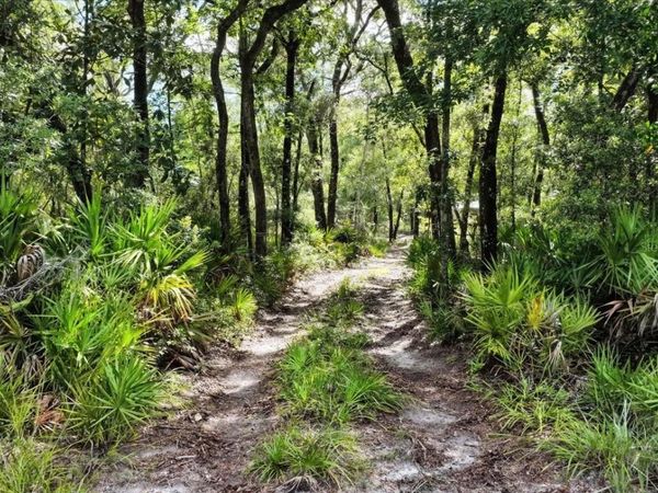 0000 SW COUNTY ROAD 347, CHIEFLAND, FL 32626