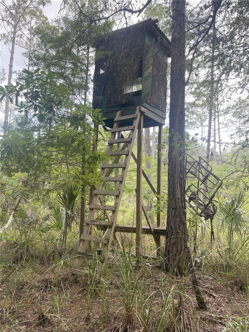 0000 SW County Road 347, Chiefland, FL 32626 Photo