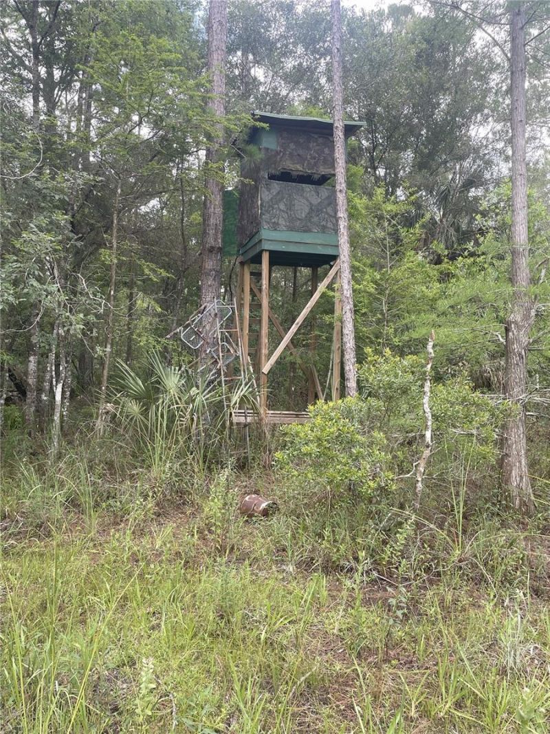 0000 SW County Road 347, Chiefland, FL 32626 Photo