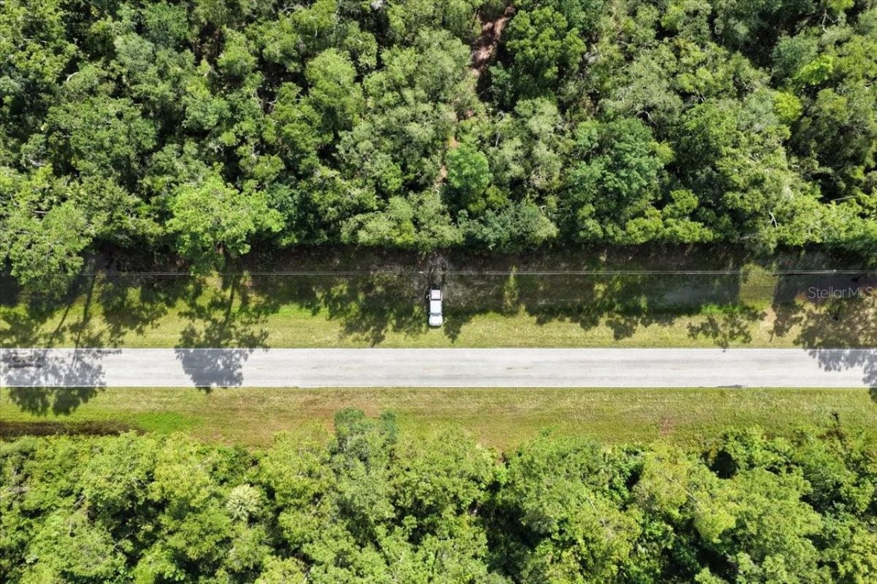 0000 SW County Road 347, Chiefland, FL 32626 Photo