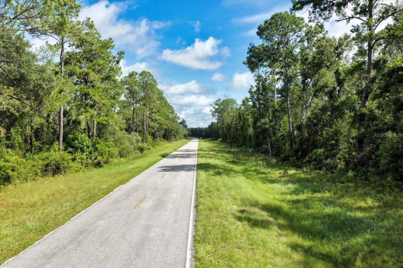 0000 SW County Road 347, Chiefland, FL 32626 Photo