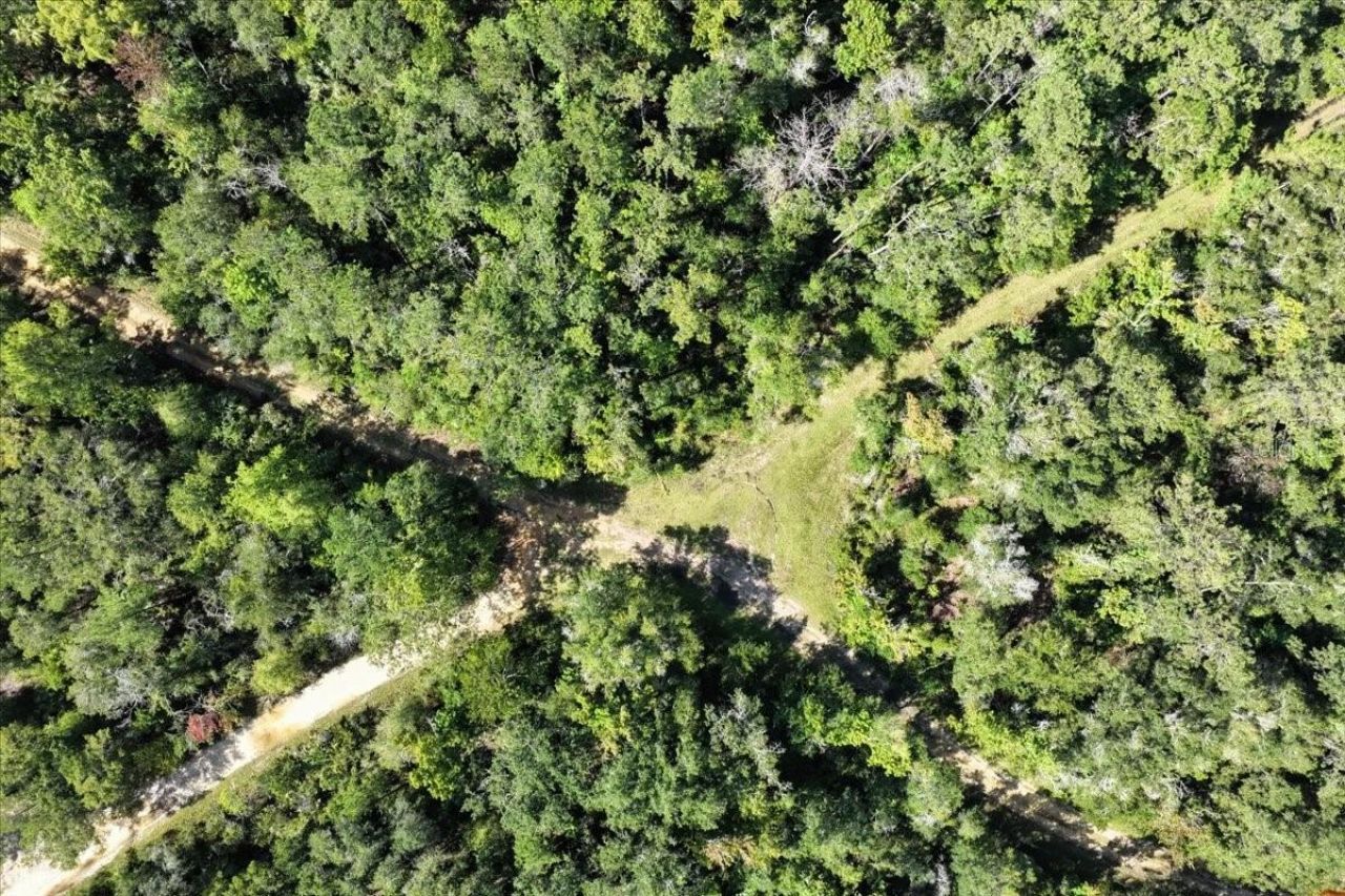 0000 SW County Road 347, Chiefland, FL 32626 Photo