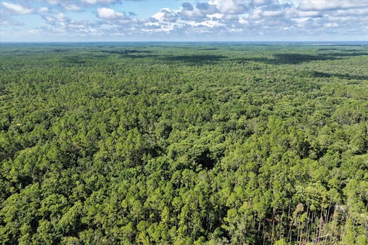 0000 SW County Road 347, Chiefland, FL 32626 Photo