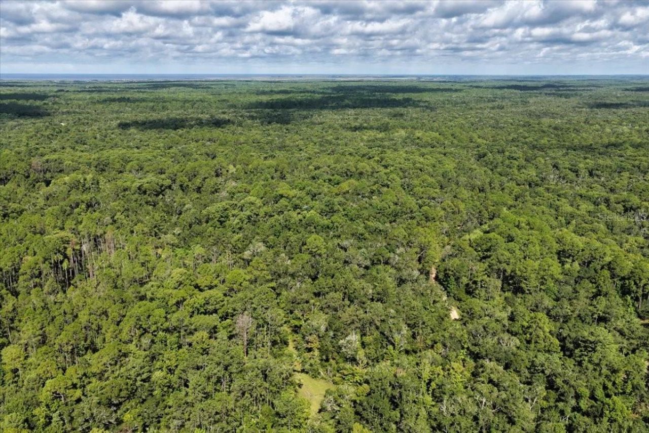 0000 SW County Road 347, Chiefland, FL 32626 Photo