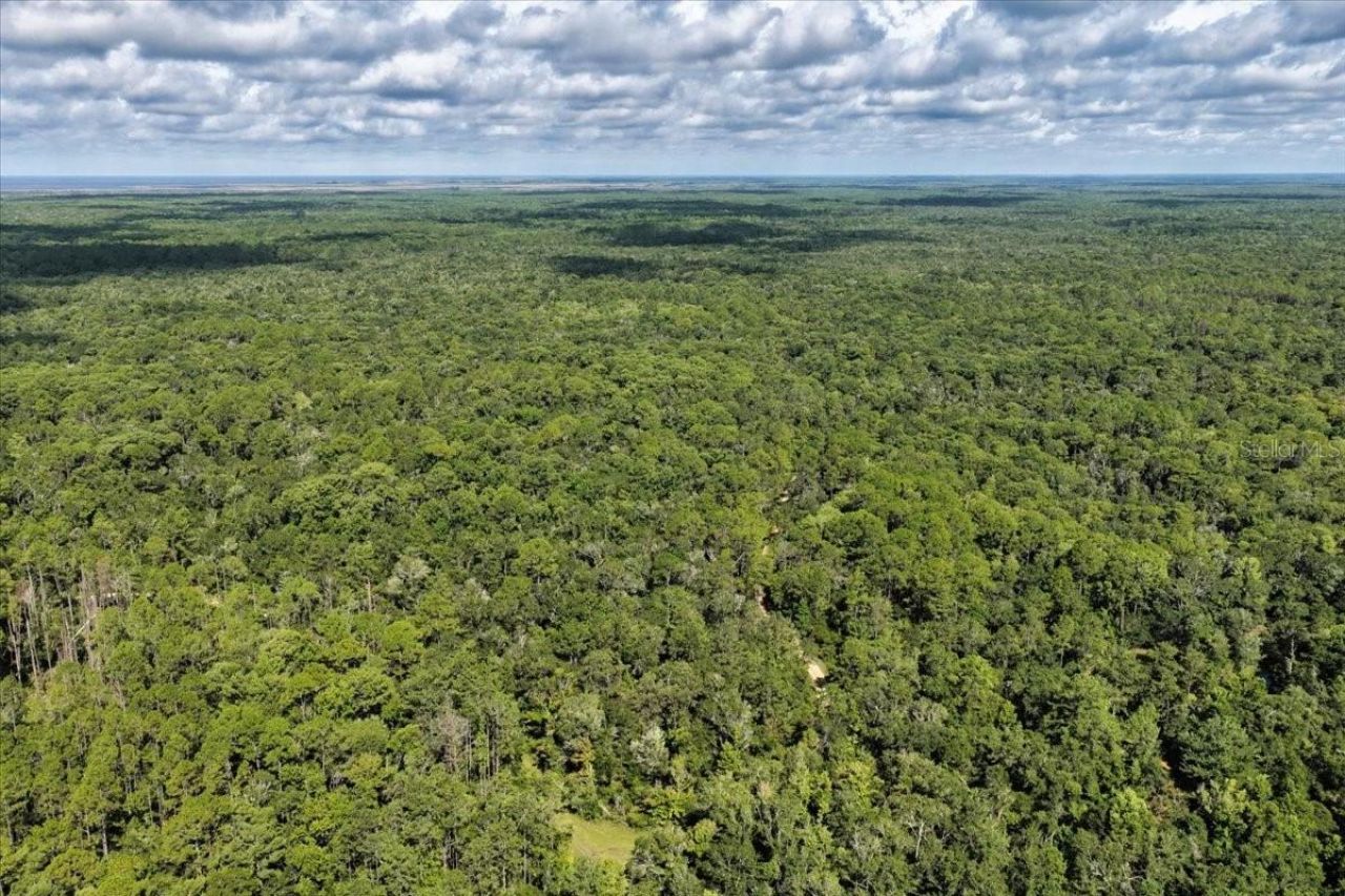 0000 SW County Road 347, Chiefland, FL 32626 Photo