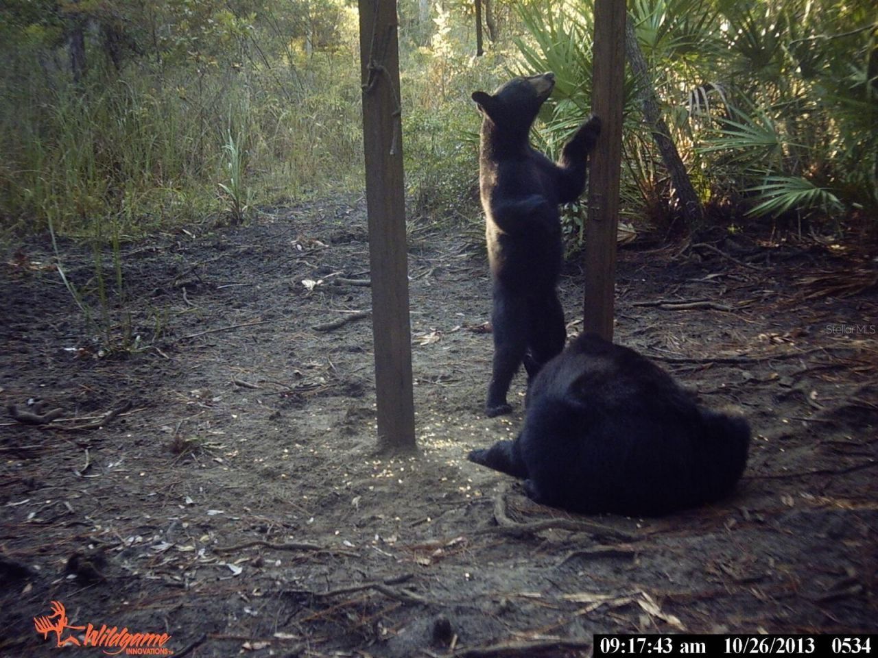 0000 SW County Road 347, Chiefland, FL 32626 Photo