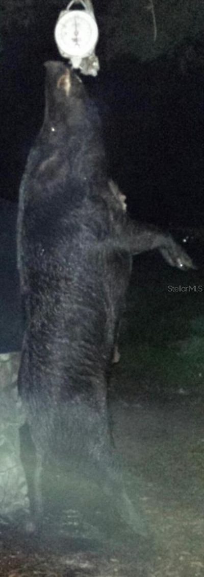 0000 SW County Road 347, Chiefland, FL 32626 Photo