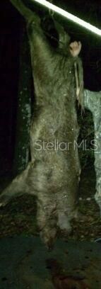 0000 SW County Road 347, Chiefland, FL 32626 Photo