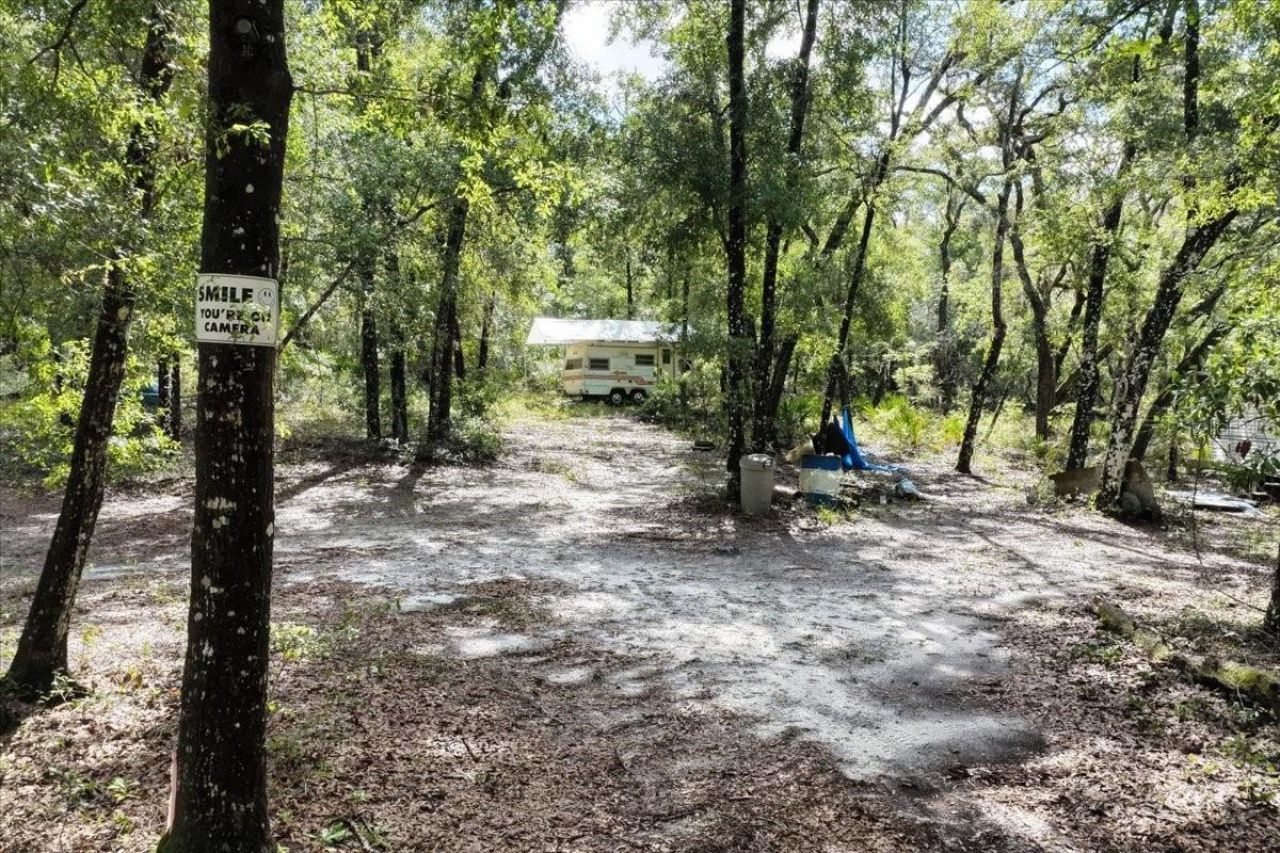 0000 SW County Road 347, Chiefland, FL 32626 Photo