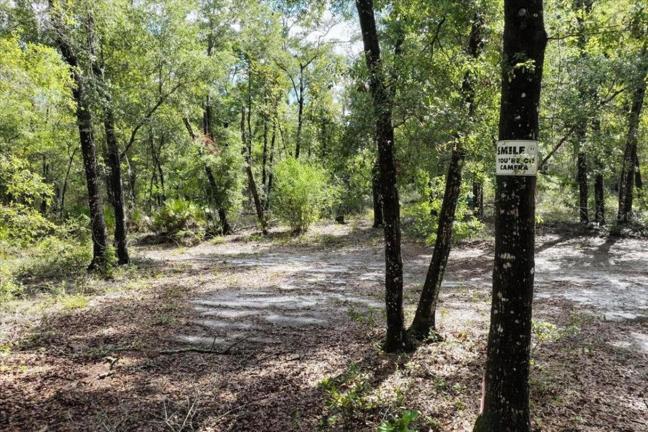 0000 SW County Road 347, Chiefland, FL 32626 Photo