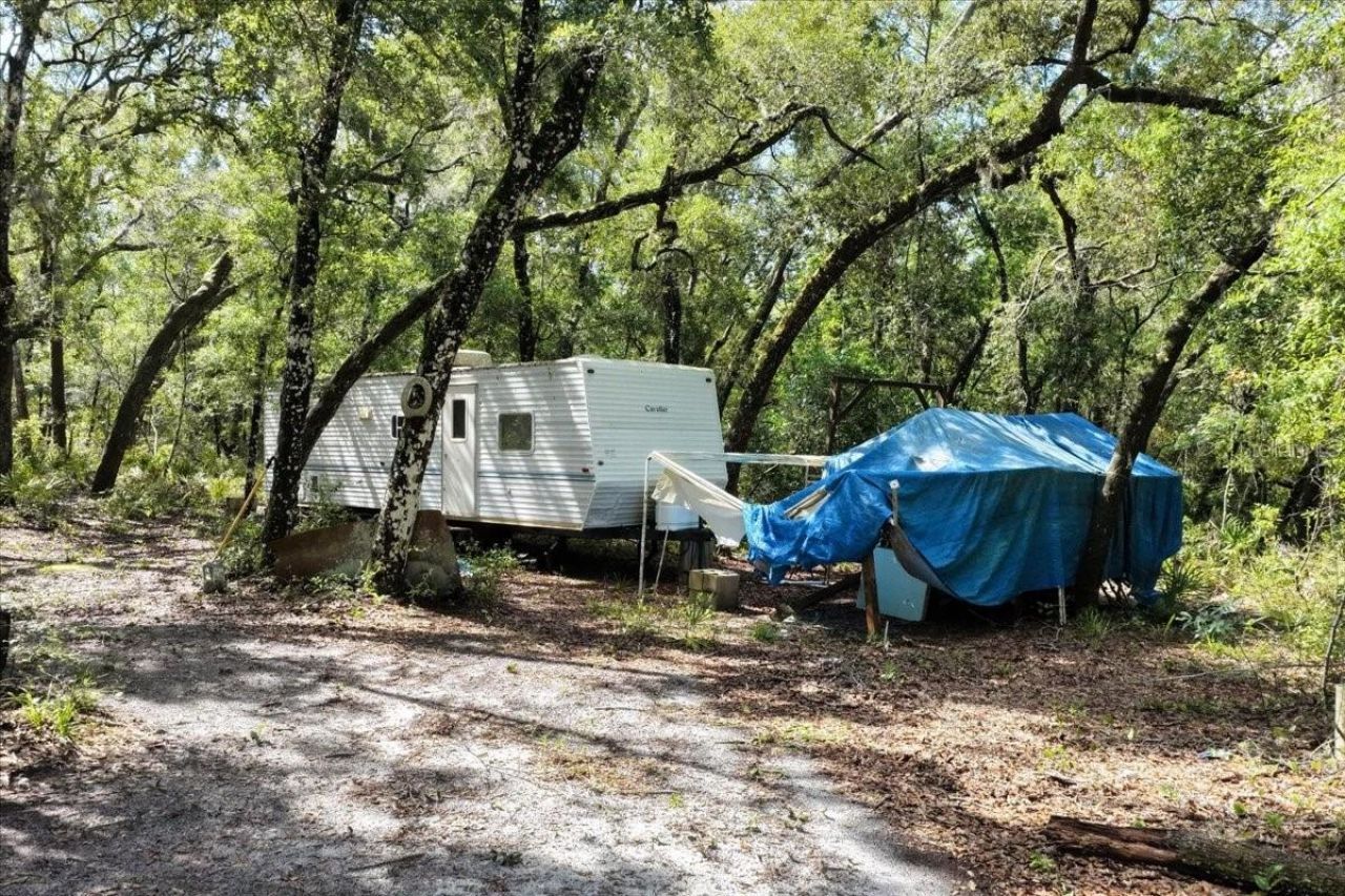 0000 SW County Road 347, Chiefland, FL 32626 Photo