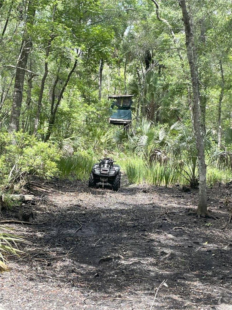 0000 SW County Road 347, Chiefland, FL 32626 Photo