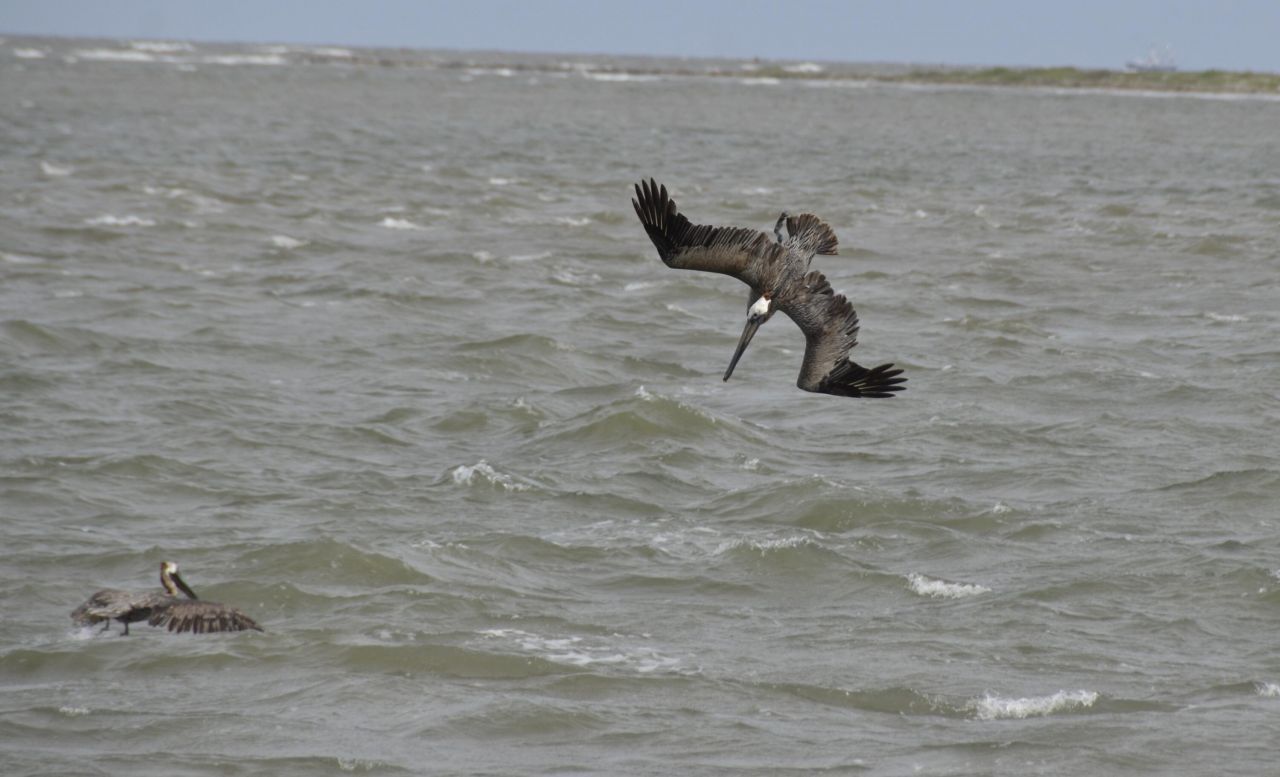 325 Seabrook Island Road Photo 15
