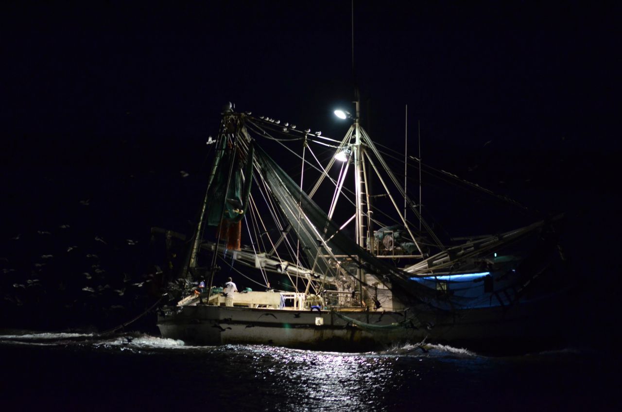 325 Seabrook Island Road Photo 16